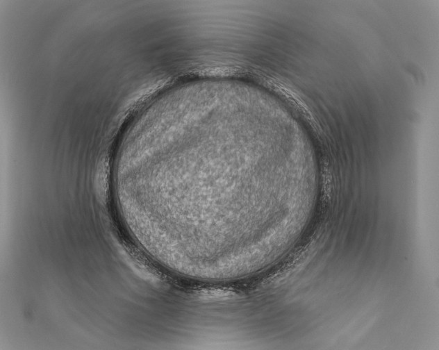 X0000112350586200909031851