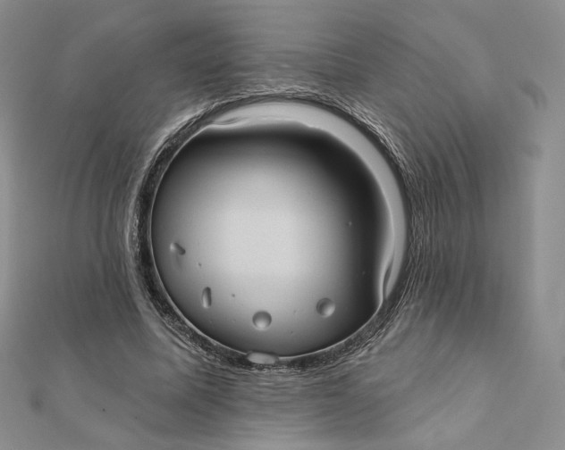 X0000112350587200909031851