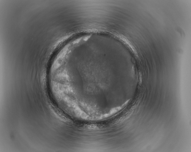 X0000112350588200909031851