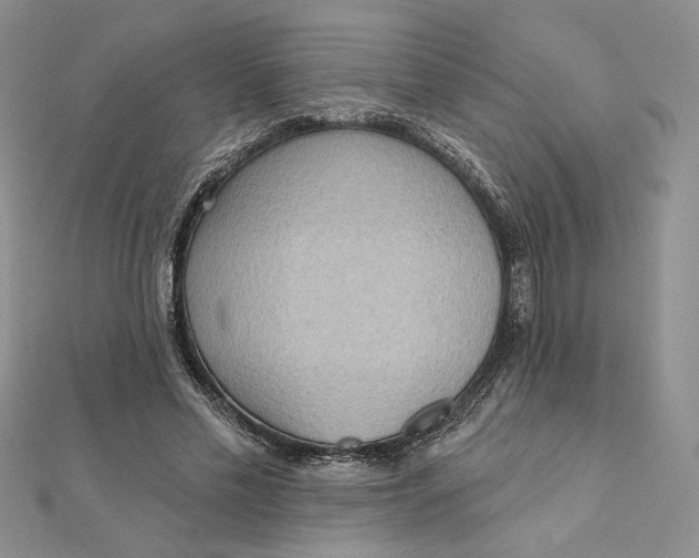 X0000112350589200909031851