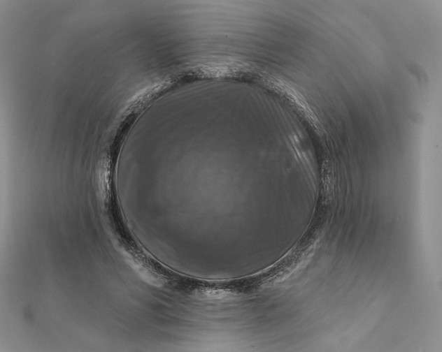 X0000112350590200909031851