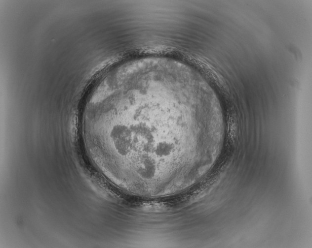 X0000112350591200909031851