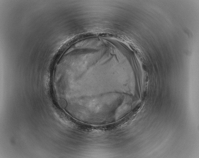 X0000112350592200909031851