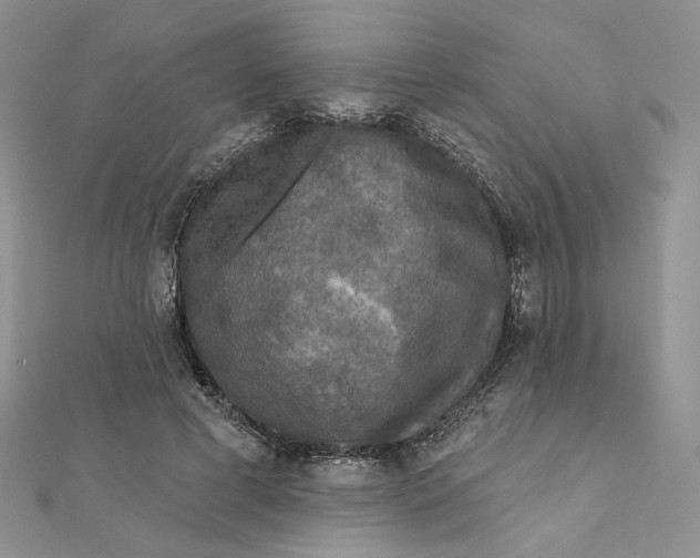 X0000112350593200909031851