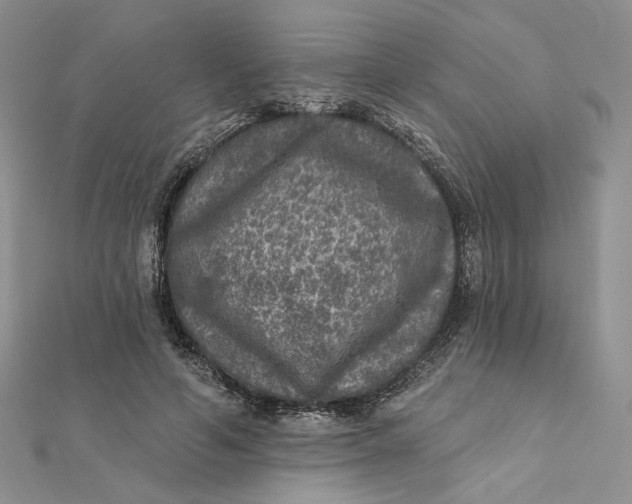 X0000112350594200909031851