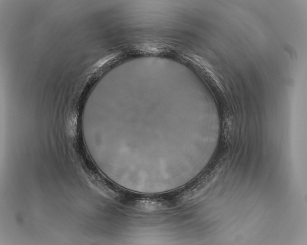 X0000112350596200909031851