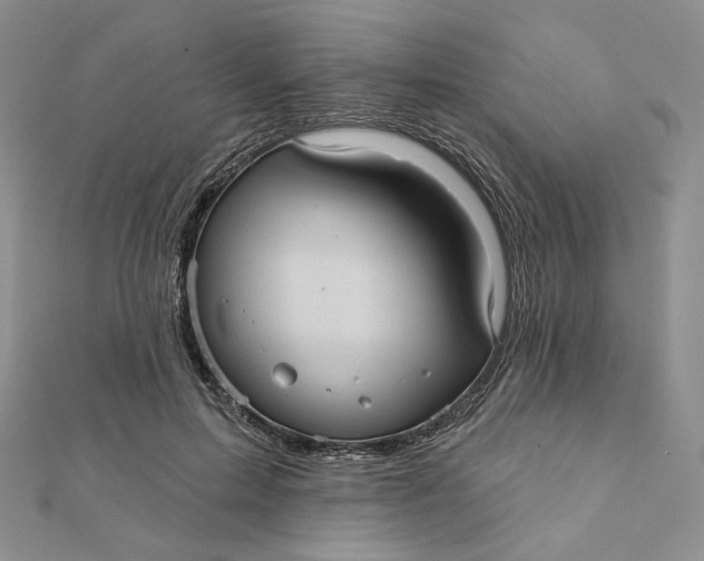 X0000112350599200909031851