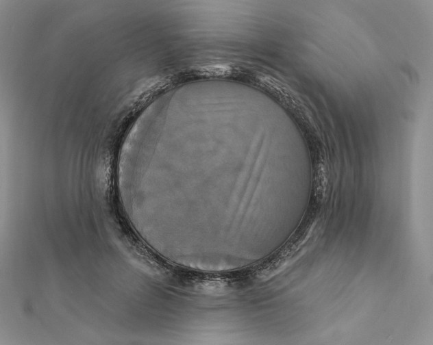 X0000112350600200909031851