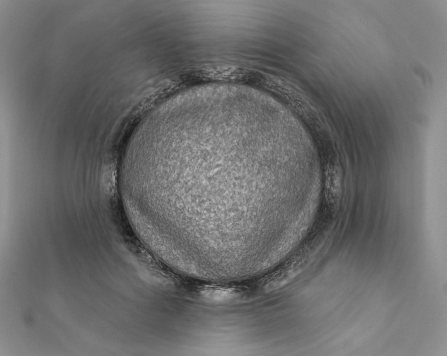 X0000112350602200909031851