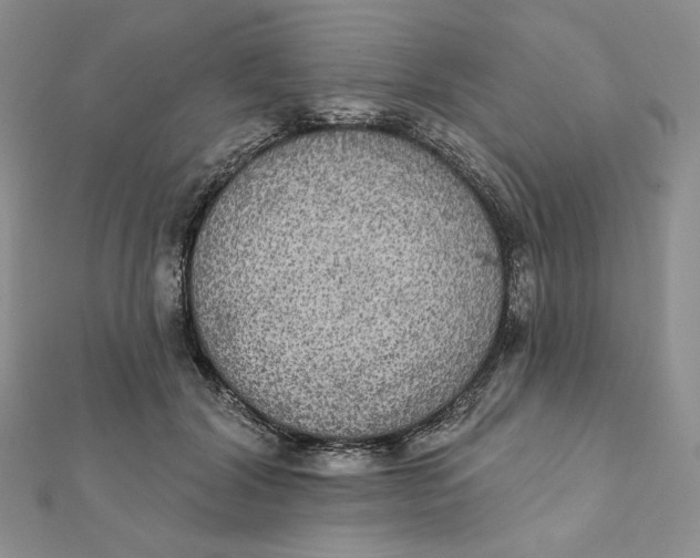 X0000112350604200909031851