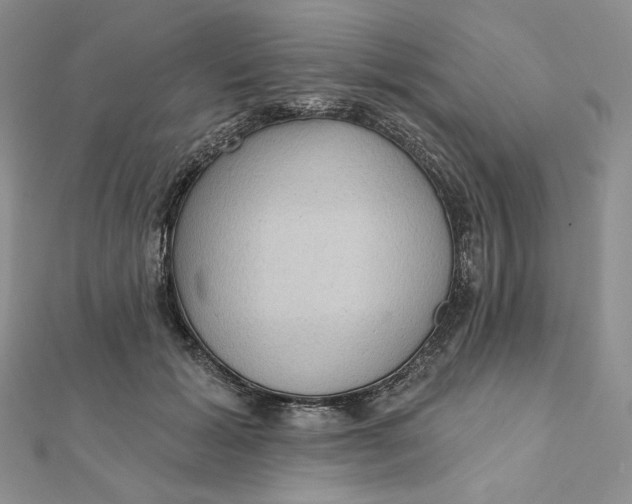 X0000112350605200909031851