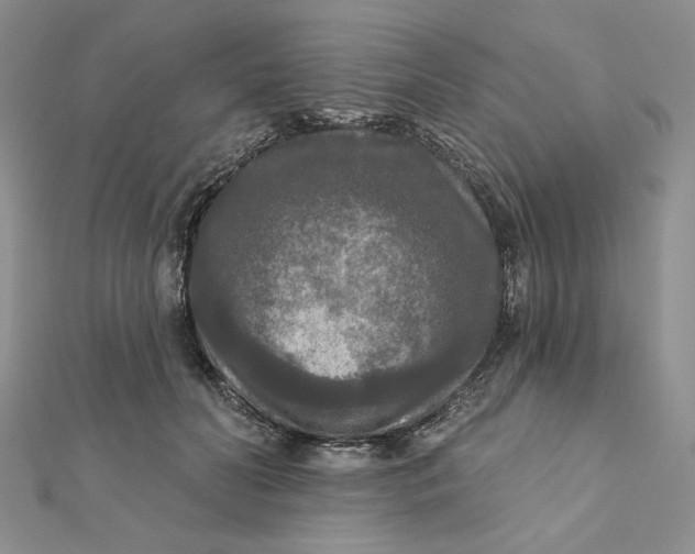 X0000112350606200909031851