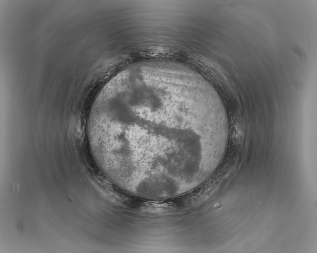 X0000112350607200909031851