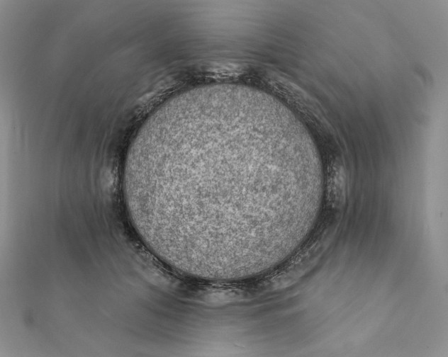 X0000112350608200909031850