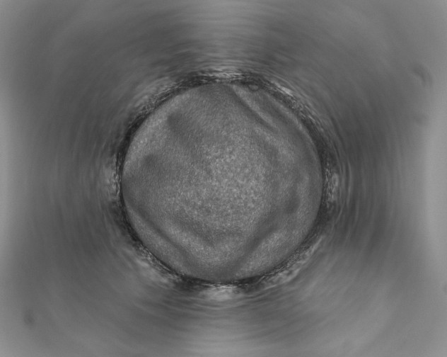 X0000112350609200909031850