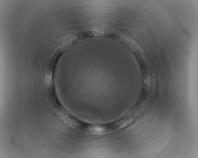 X0000112350610200909031850