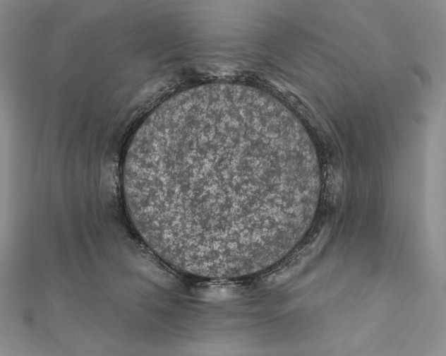 X0000112350612200909031850