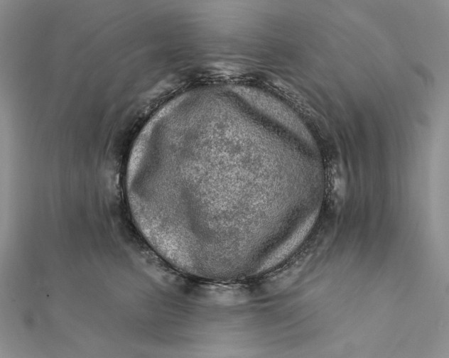 X0000112350615200909031850