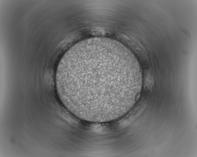 X0000112350616200909031850