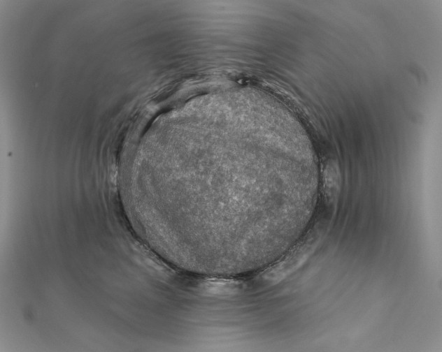 X0000112350617200909031850