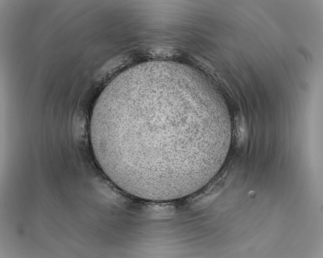 X0000112350619200909031850