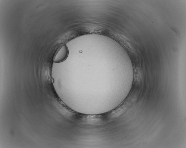 X0000112350622200909031850