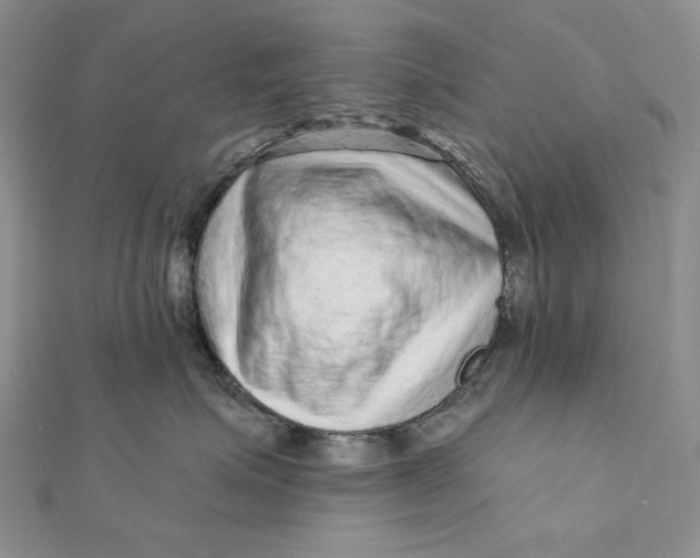 X0000112350623200909031850