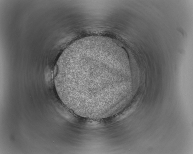 X0000112350624200909031850