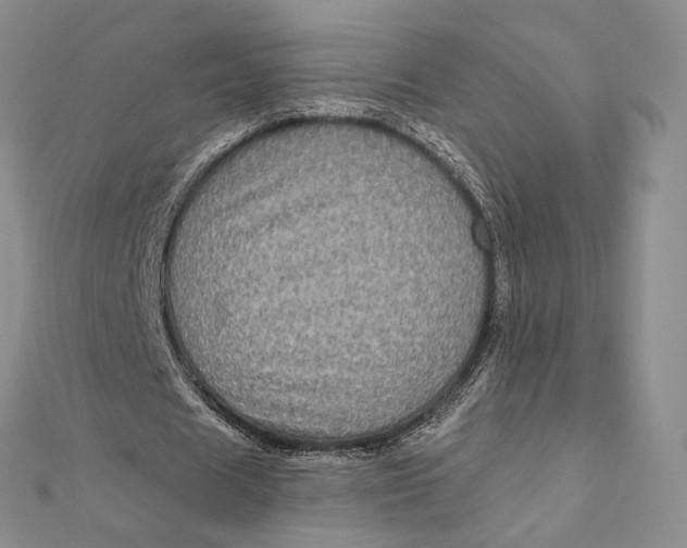 X0000112350625200909031850