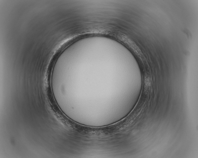 X0000112350628200909031850