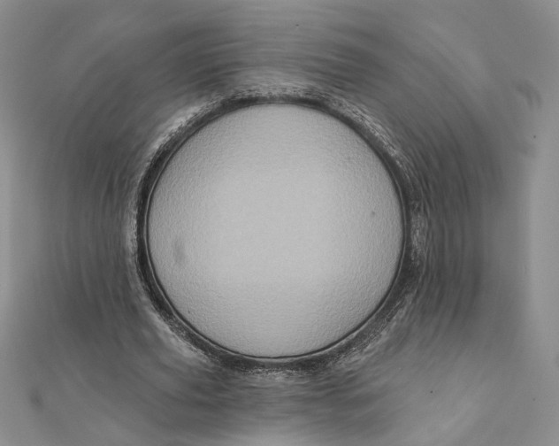 X0000112350629200909031850