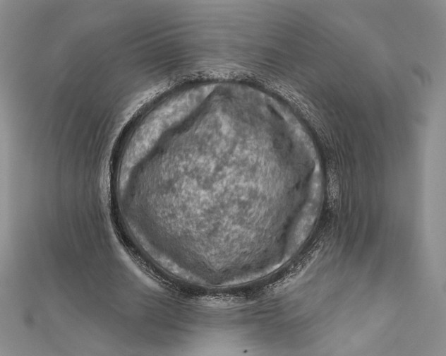 X0000112350630200909031850