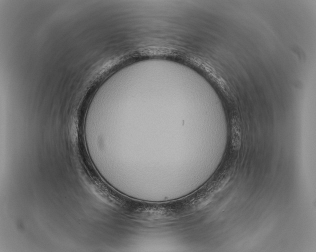 X0000112350631200909031850