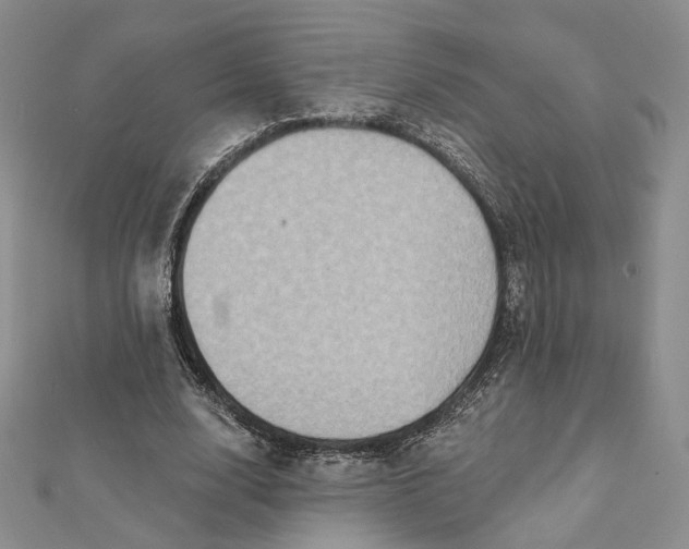 X0000112350632200909031850