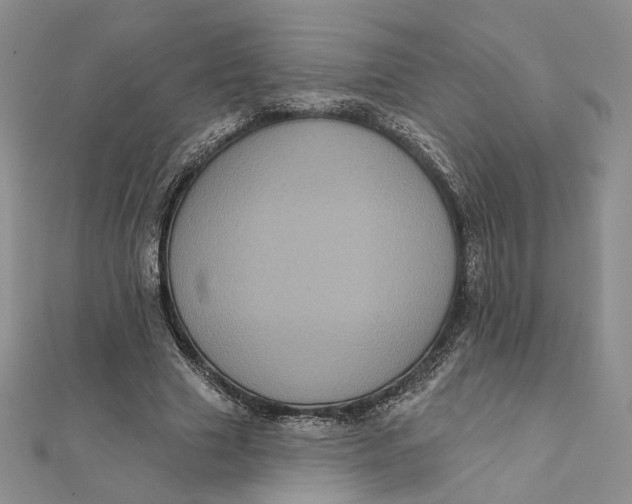 X0000112350633200909031850