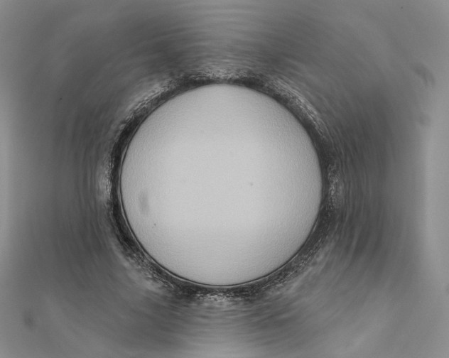 X0000112350635200909031850