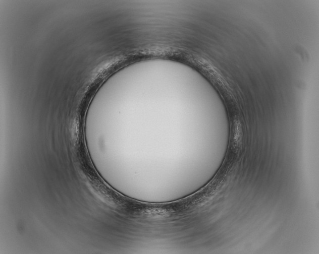 X0000112350636200909031850