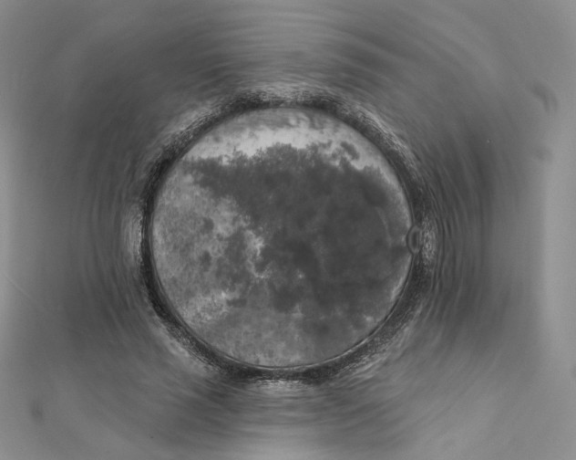 X0000112350637200909031850