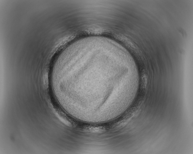 X0000112350638200909031850