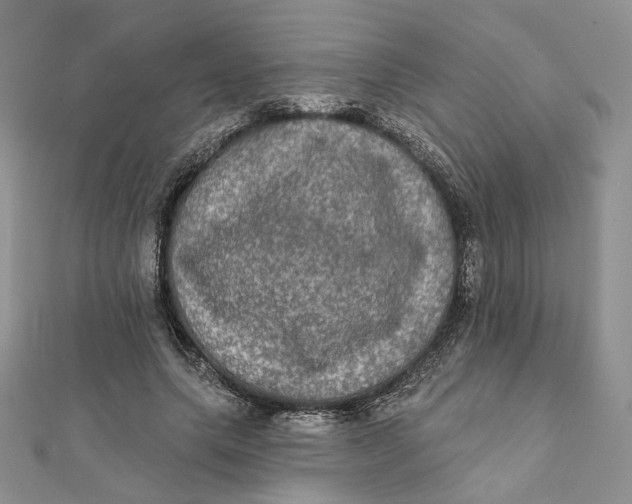 X0000112350639200909031850