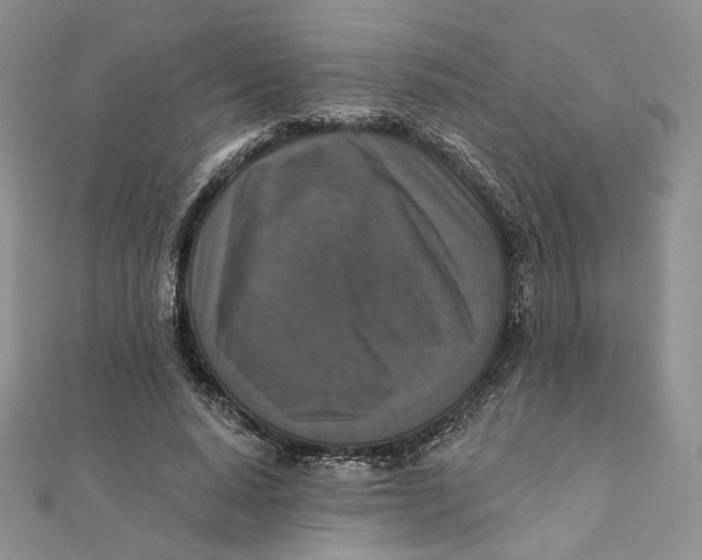 X0000112350640200909031850