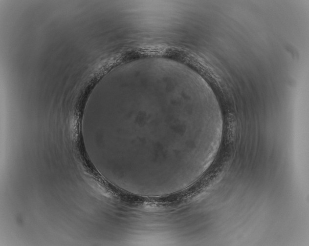 X0000112350641200909031850