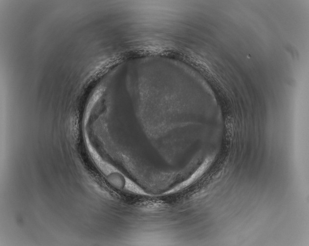 X0000112350642200909031850