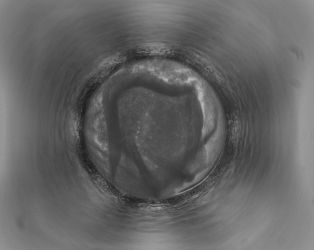 X0000112350643200909031850