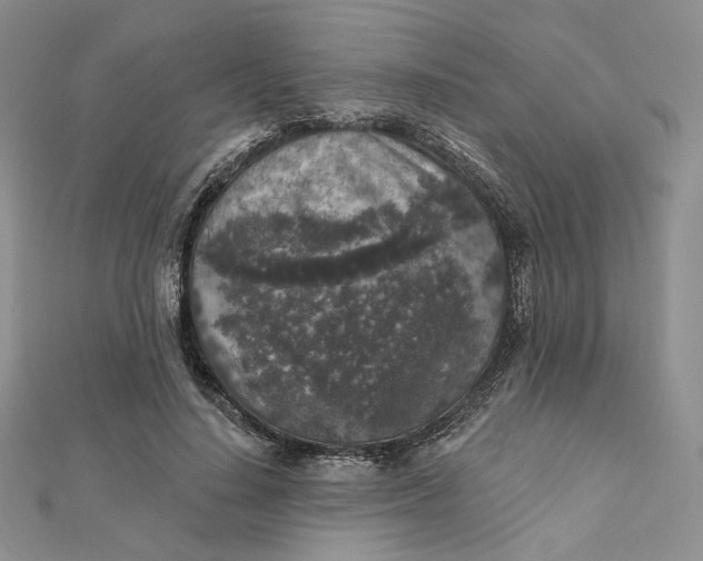 X0000112350644200909031850