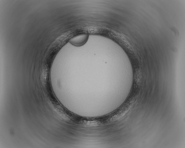 X0000112350645200909031850