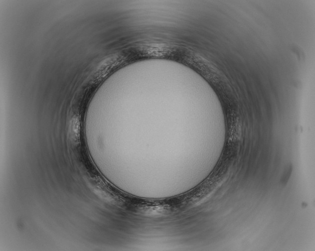 X0000112350646200909031850