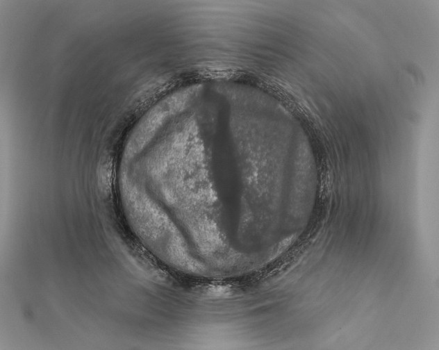 X0000112350647200909031850