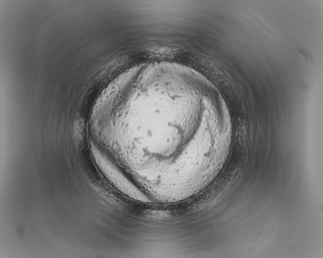 X0000112350649200909031850