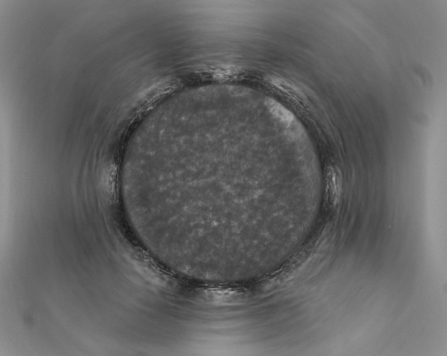 X0000112350650200909031850